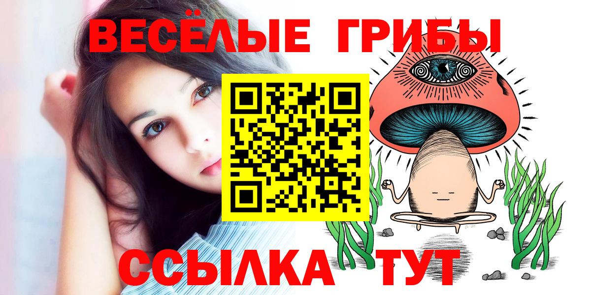 наркошоп  Псилоцибиновые грибы прущие грибы  Вход с VPN  Боровичи  Галлюциногенные грибы GOLDEN TEACHER 