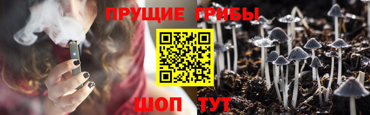Псилоцибиновые грибы GOLDEN TEACHER Боровичи